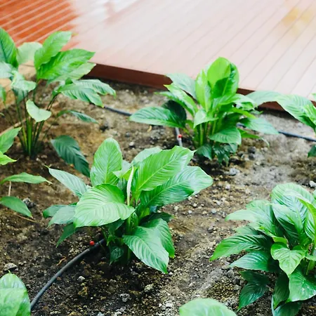 Rentitspain Charming Gym, Jacuzzi Y Balcon * Εστεπόνα