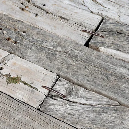 Διαμέρισμα Rentitspain Charming Gym, Jacuzzi Y Balcon