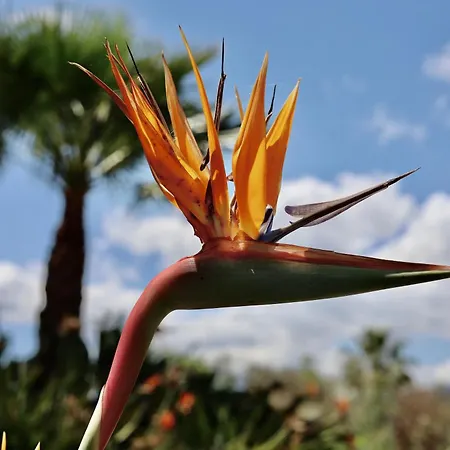 Διαμέρισμα Rentitspain Charming Gym, Jacuzzi Y Balcon *