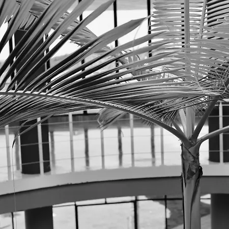 Rentitspain Charming Gym, Jacuzzi Y Balcon Apartment *