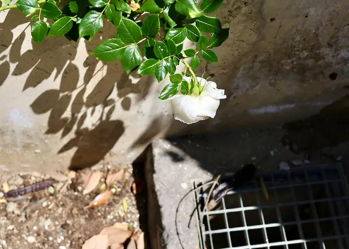 Apartamento Rentitspain Charming Gym, Jacuzzi Y Balcón Estepona