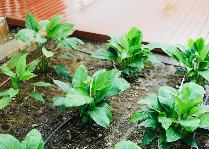 Rentitspain Charming Gym, Jacuzzi Y Balcón * Estepona