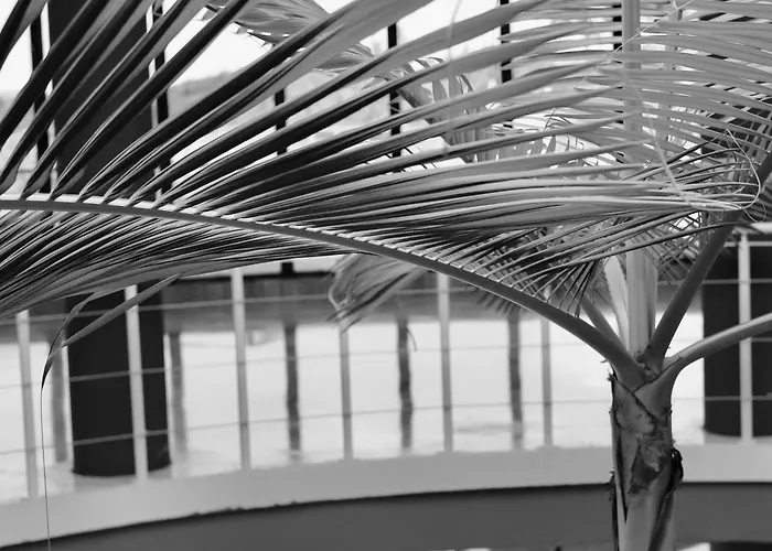 Rentitspain Charming Gym, Jacuzzi Y Balcón Apartamento *