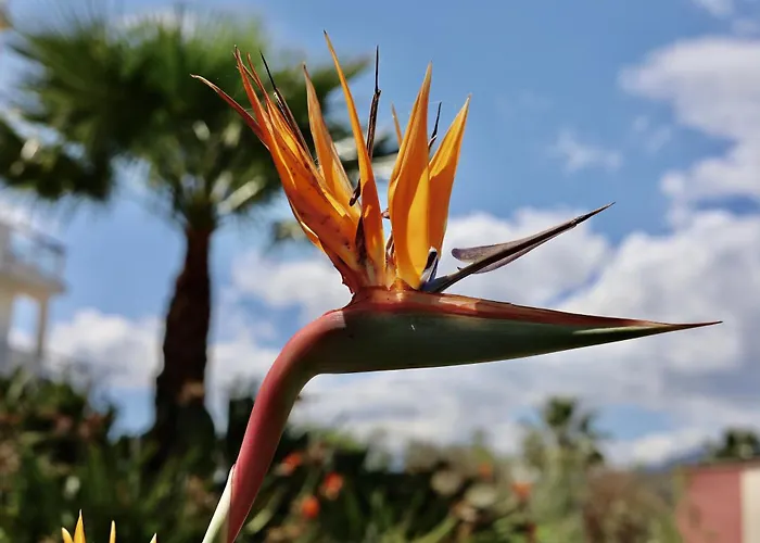 Apartamento Rentitspain Charming Gym, Jacuzzi Y Balcón *