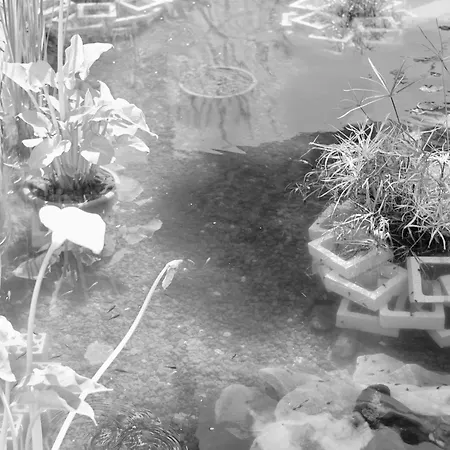 Rentitspain Charming Gym, Jacuzzi Y Balcón *