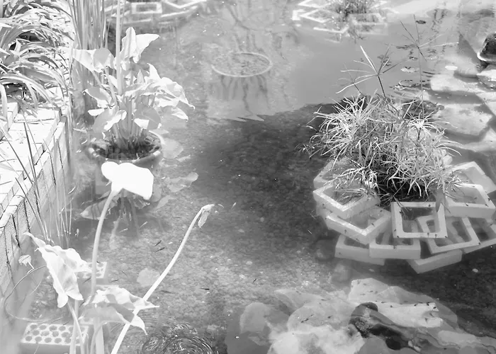 Rentitspain Charming Gym, Jacuzzi Y Balcón *